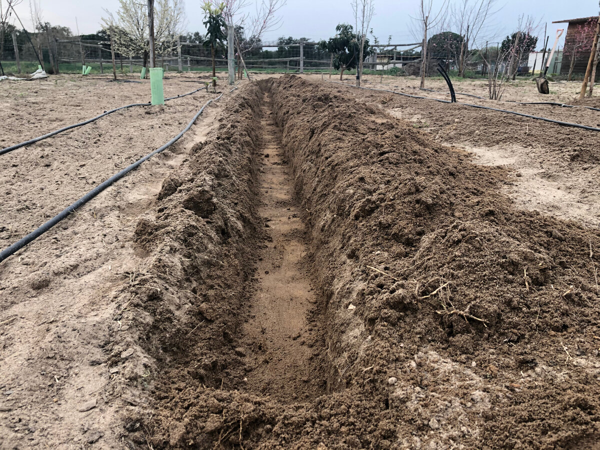 Траншея готова