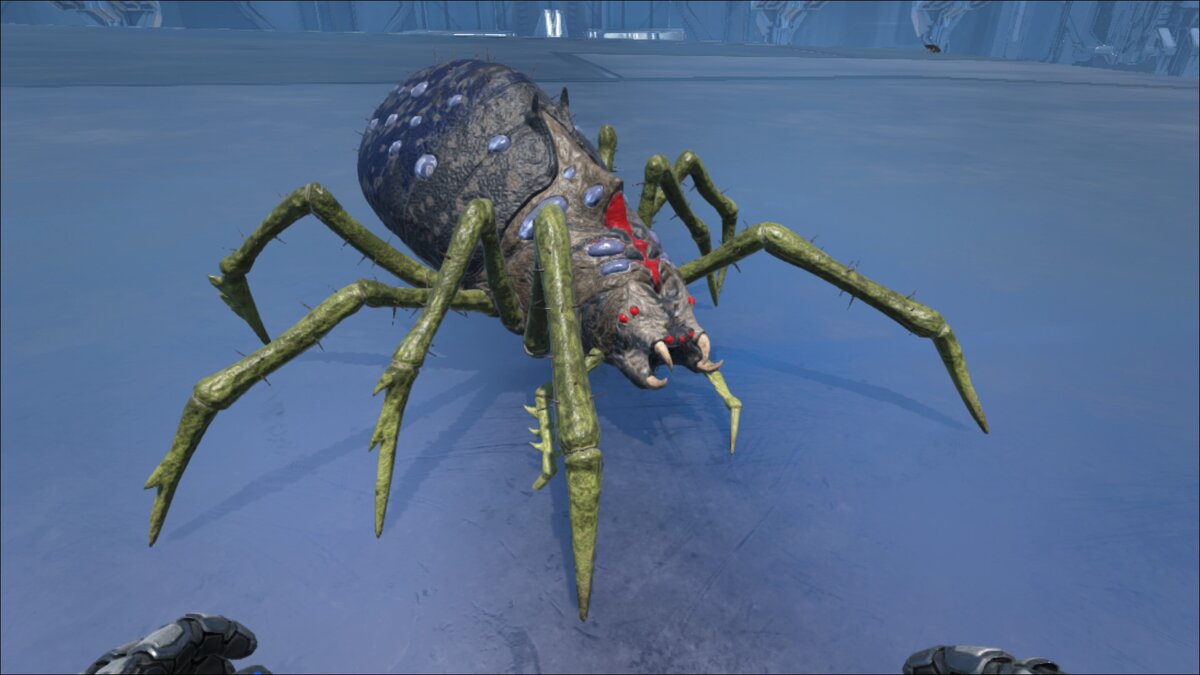 Аранео в игре