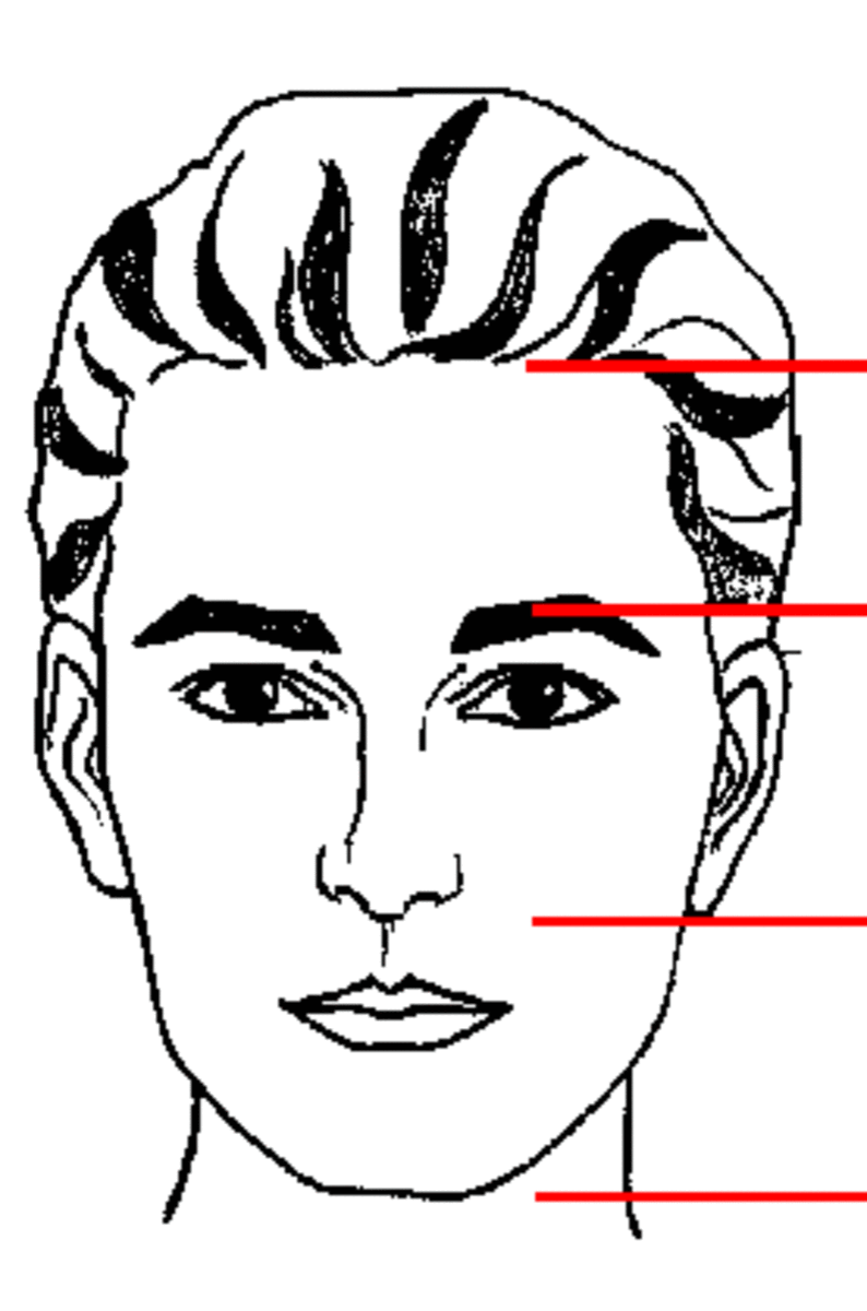 Схема частей лица