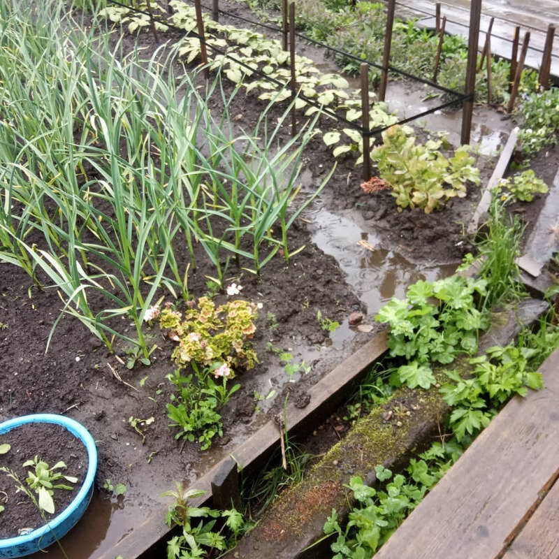 Фото https://www.instagram.com/p/CBJ3nDTnaIp/