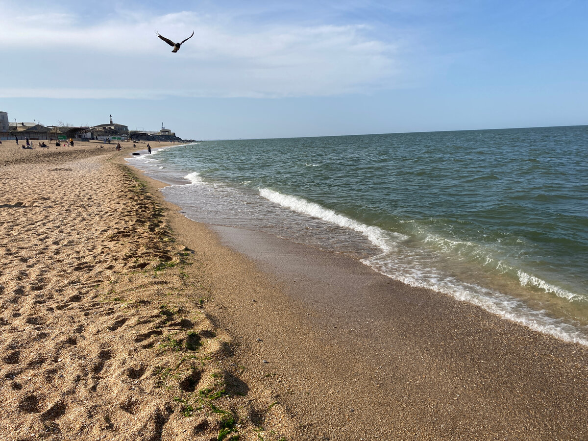 Море в махачкале фото пляжа