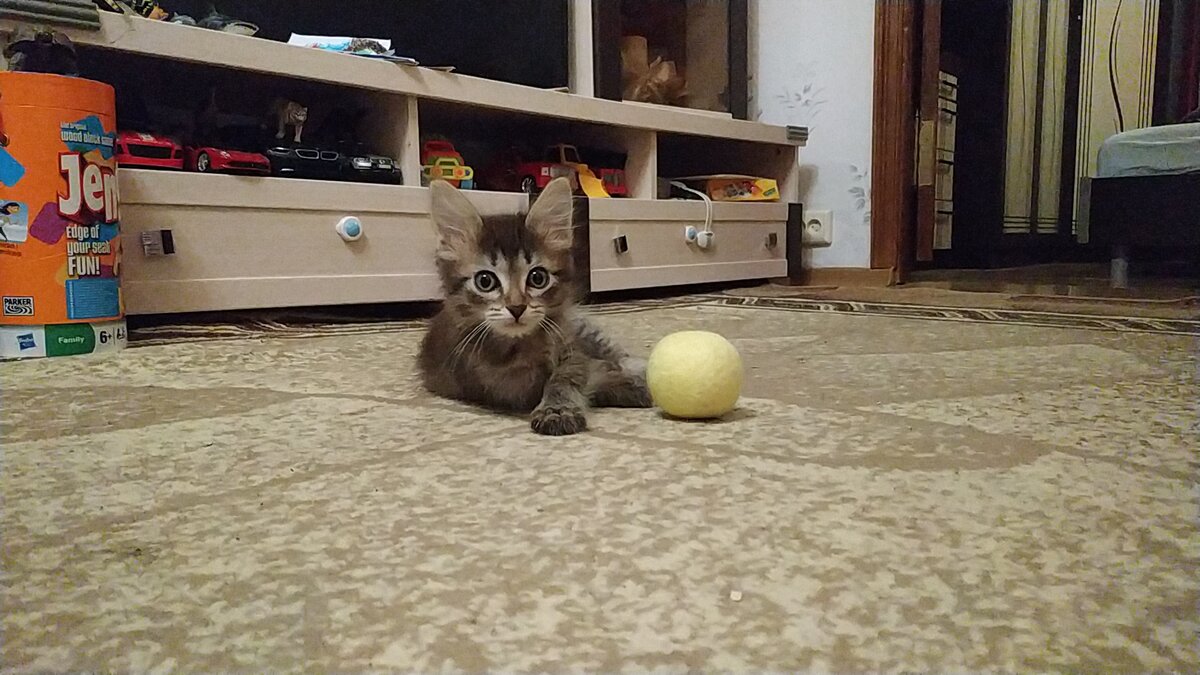 Тимофей играет с мячиком