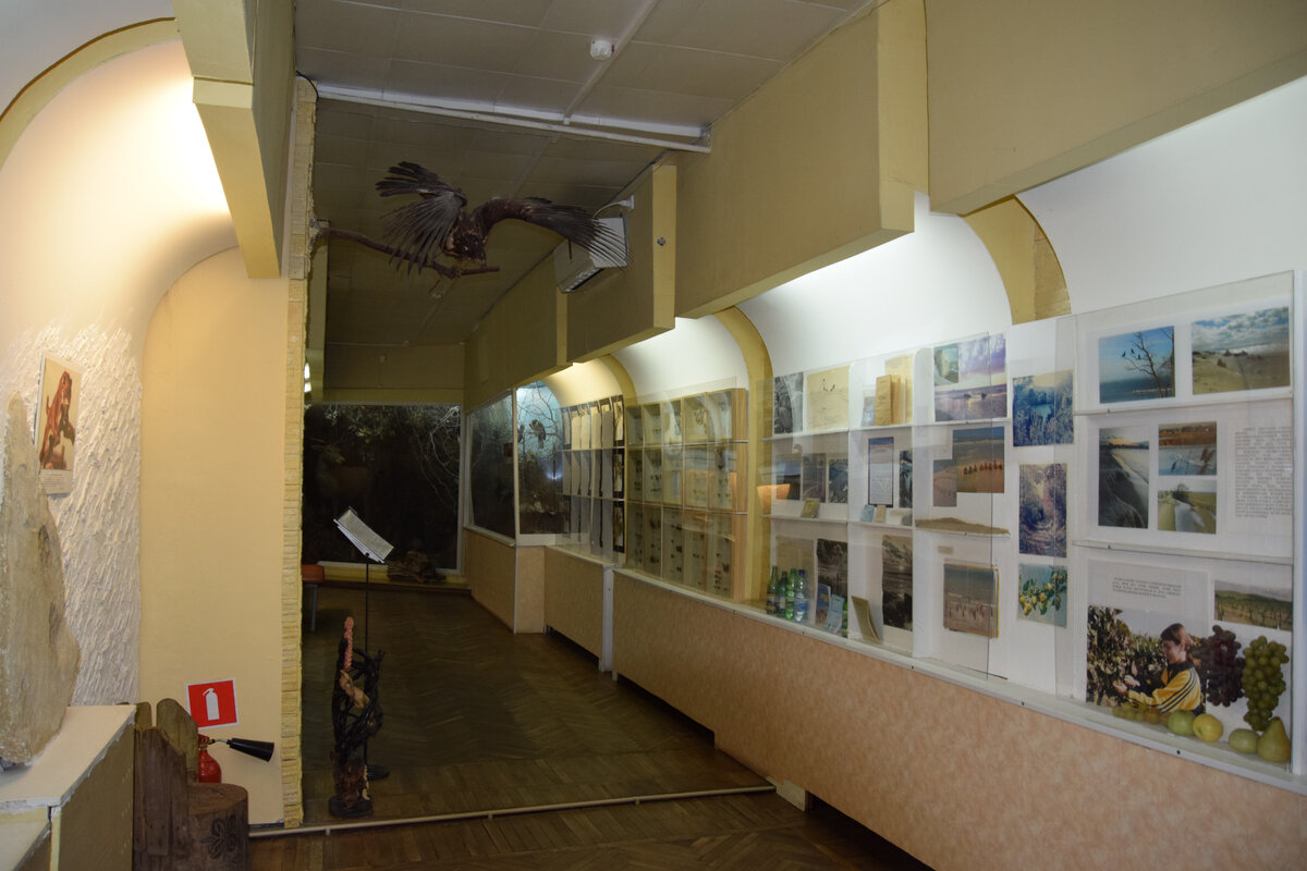 краеведческий музей анапа
