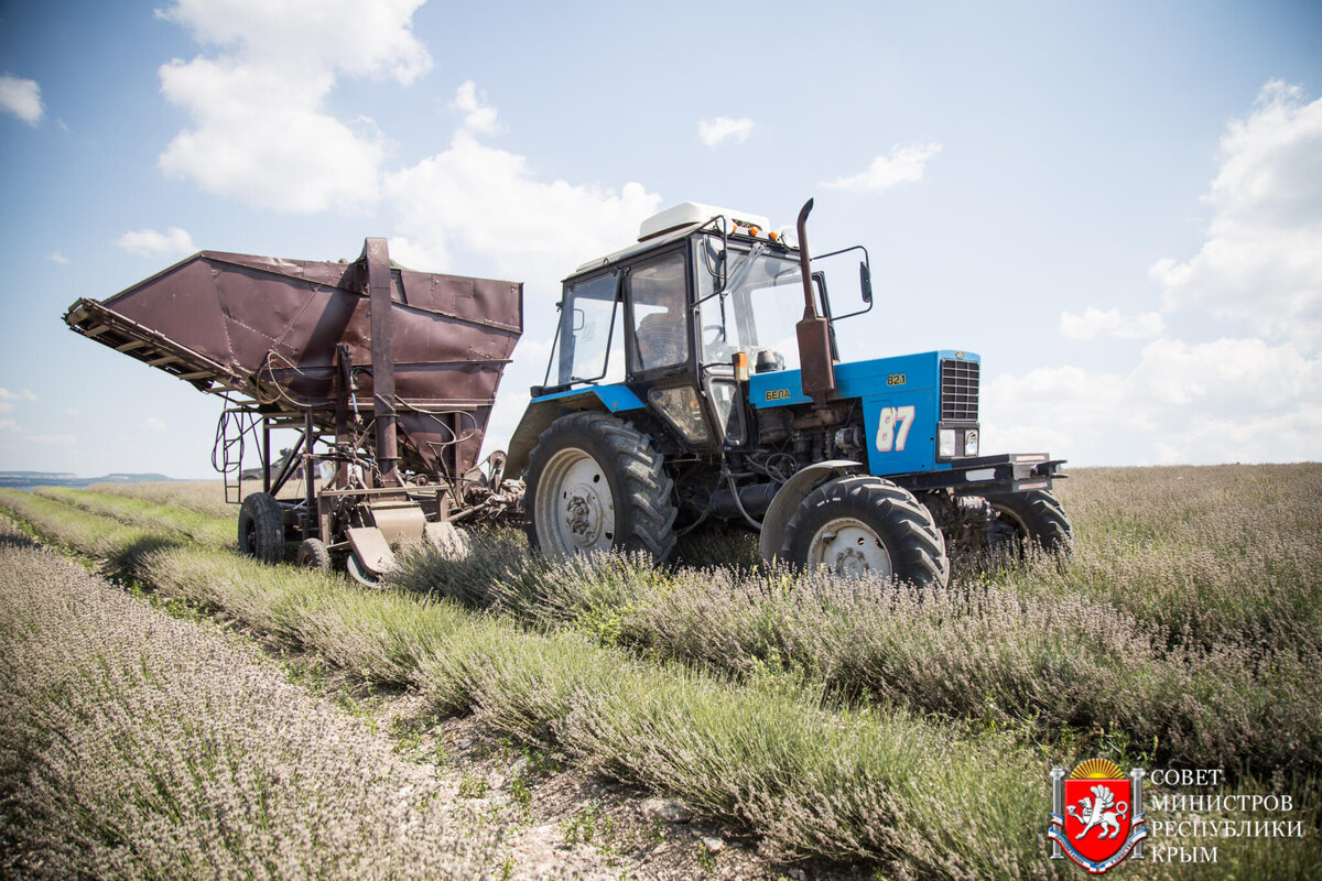 Фото: Министерство внутренней политики, информации и связи РК 