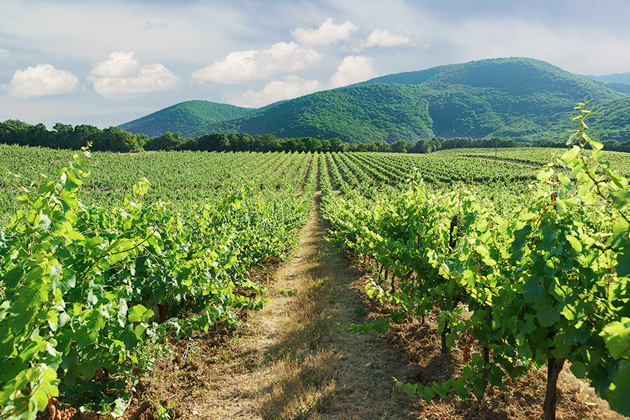 Фото: Shutterstock