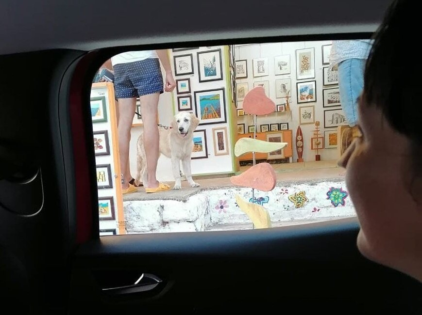 жаль качество фото в вк немного сгладило печальное выражение лица этого мохнатого друга