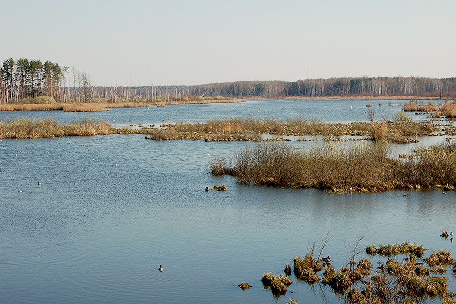 Фото: Shutterstock