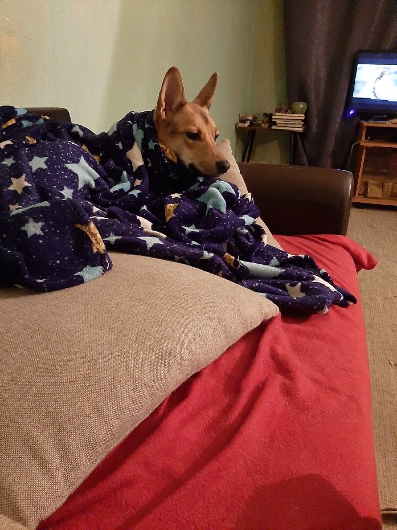 Ворчун