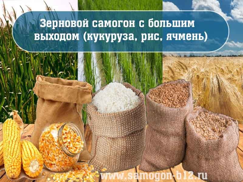Аналоги сахару или из чего делать самогон? ©