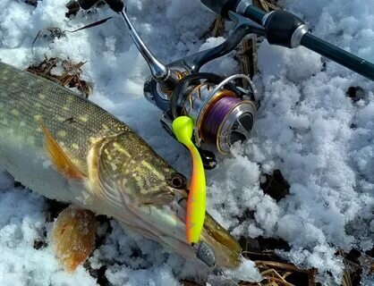 Фото с сайта: https://yandex-images.clstorage.net