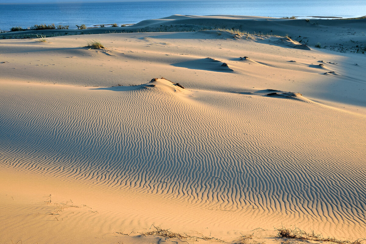 Пустыня Гоби