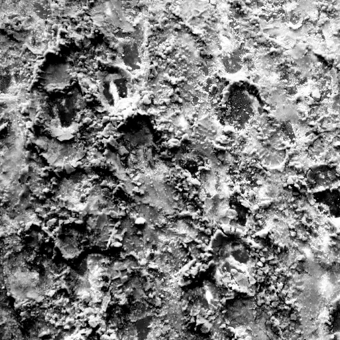 Следы на снегу. За счёт боковой подсветки удалось выхватить максимум объёма. А перевод в монохром позволил фотографии заиграть по-новому, потому что в цветном изображении мы фактуру практически не воспринимаем!