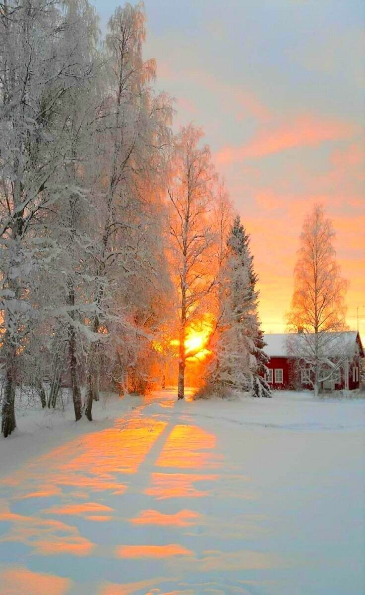 Фото с сайта Pinterest