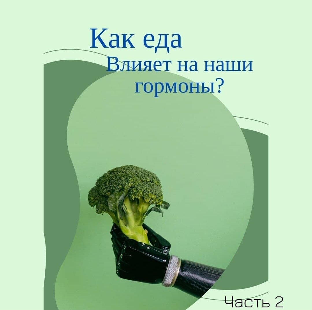 Продолжение, как еда влияет на наши гормоны. Часть 2.