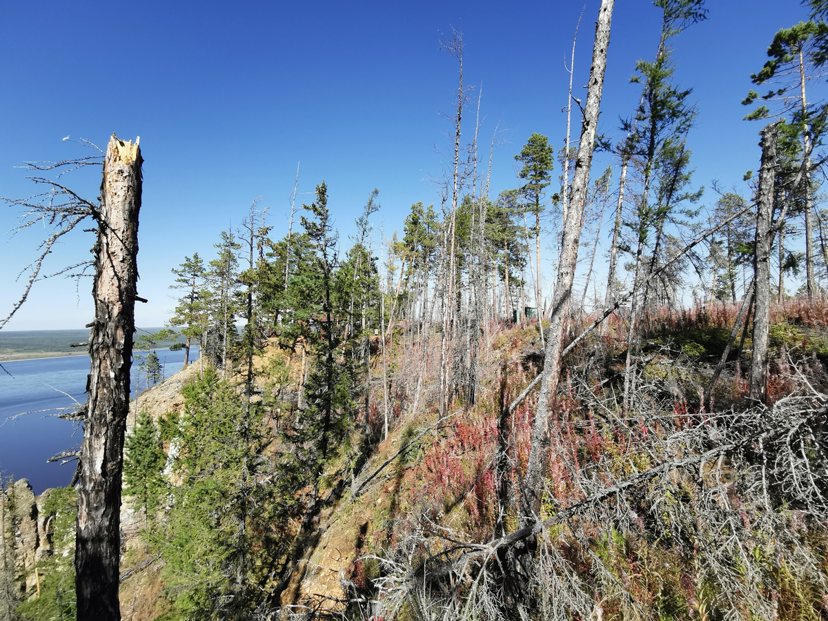 Фото зелёный мыс в якутии 2020. Еланка якутия. Якутия 2020. Море в близи от якутии. Якутия 2020.