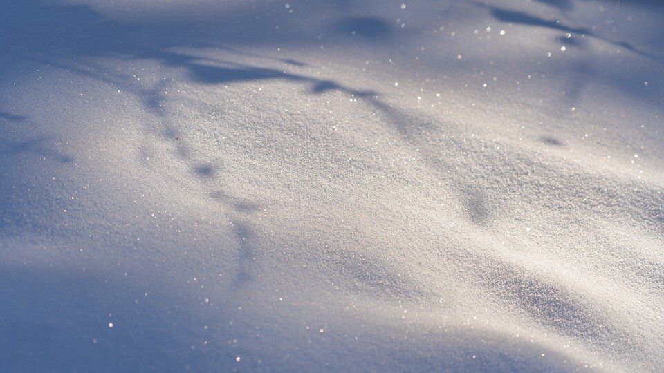 pixabay.com/