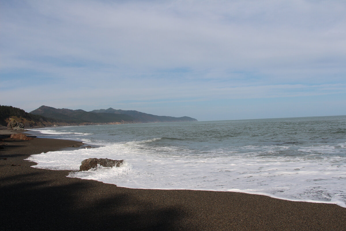 На мысе Птичий