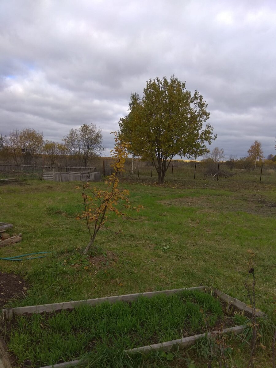После покоса