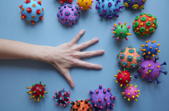 фото из сервиса canva.com