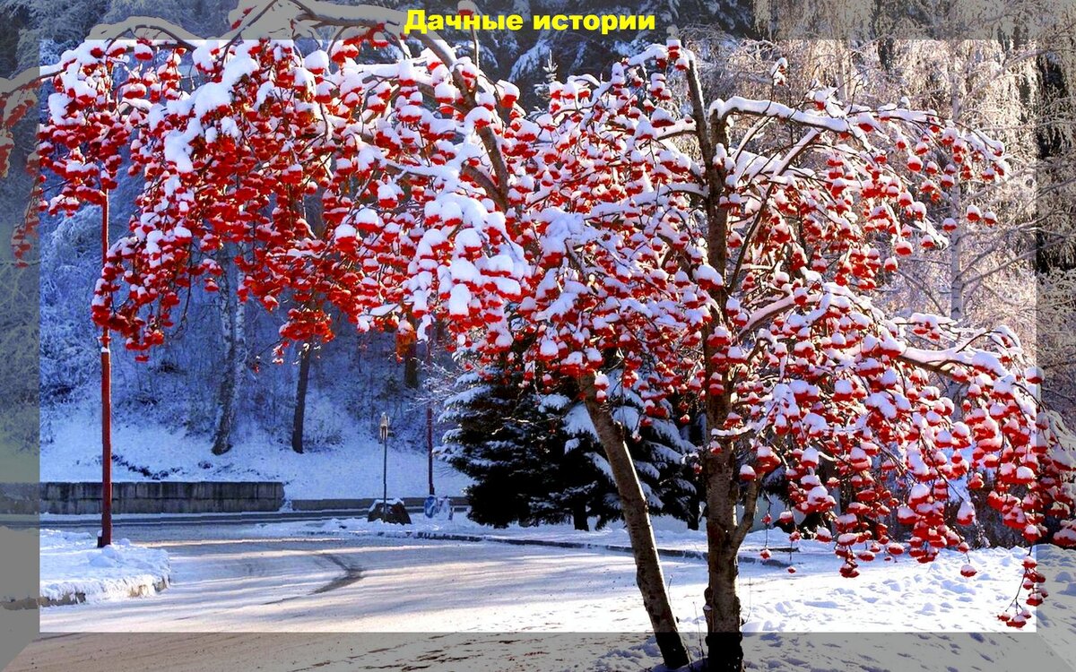 Зимняя природа. Уфа зима. Зима на 24 25 год. Фон векторный зима дети. Зима на 24 25 год.