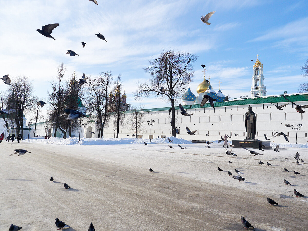 фото: автора статьи