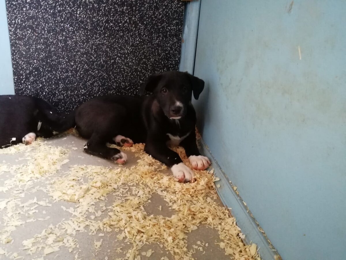 Последнее слово действительно всегда остается за жизнью.