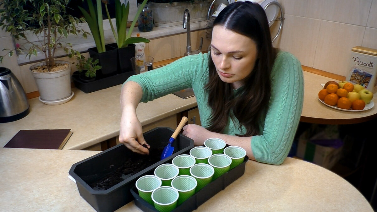 Дачный агроном Юлия Петровна готова к посеву рассады!