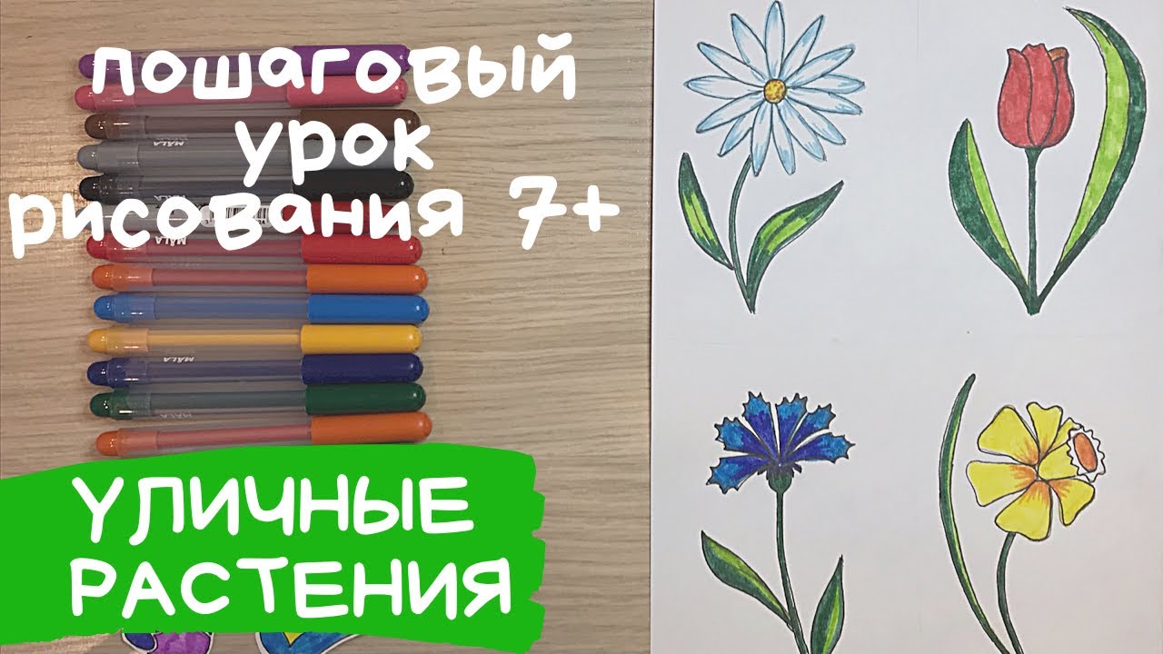 Как нарисовать Цветы