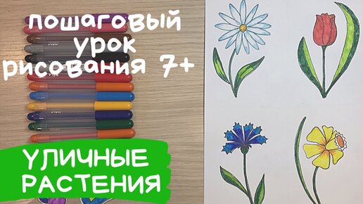 Разукрашенные рисунки