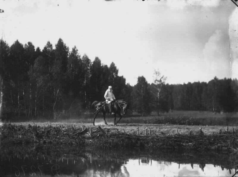 статья - Лошади, фото, костюмы, все дела)) | Бигуди - главное, себя не накручивать.