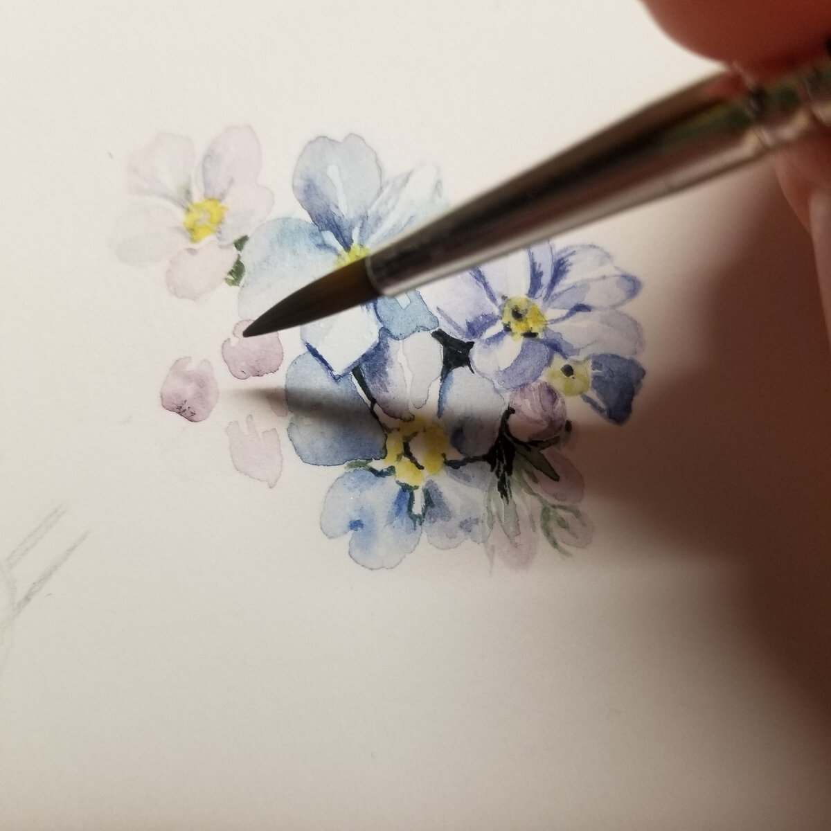 Незабудки. Этап работы над открыткой. .