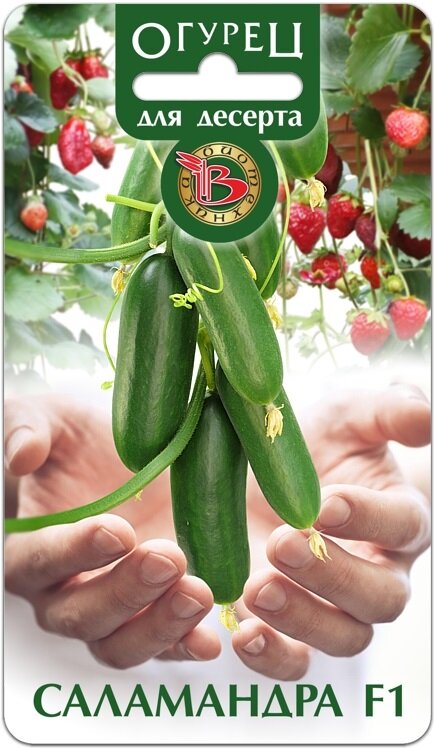 Упаковка семян огурца Саламандра F1