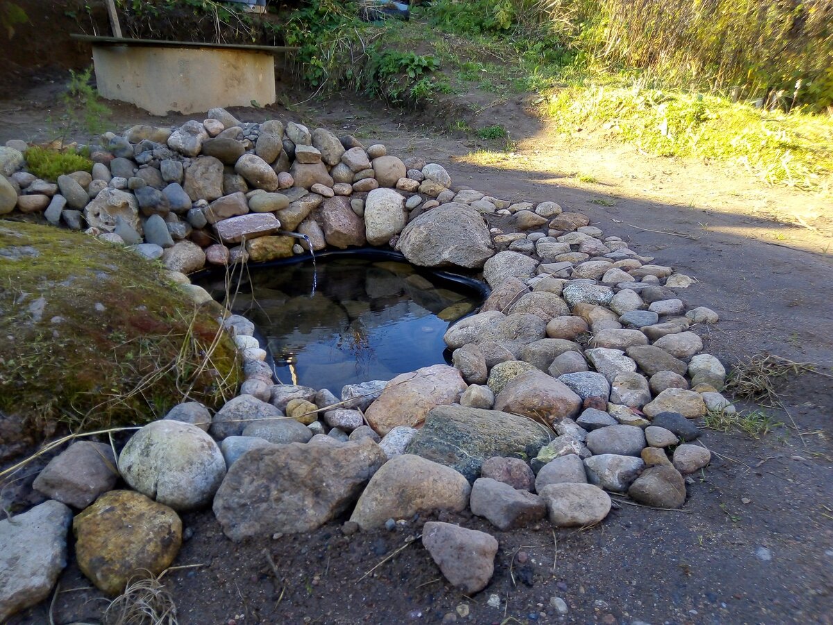 Родник у дома