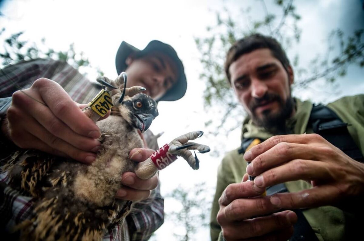 Фото: severstal.com