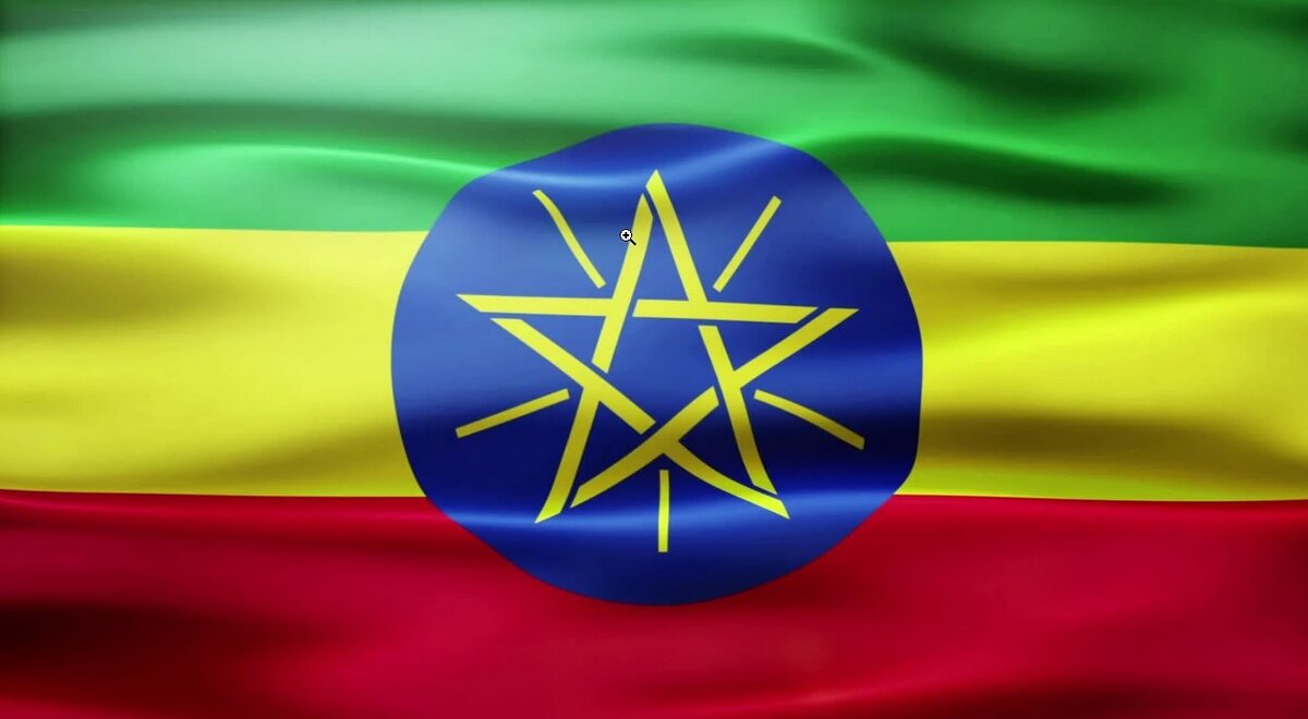 Официальный флаг с 2009 года.