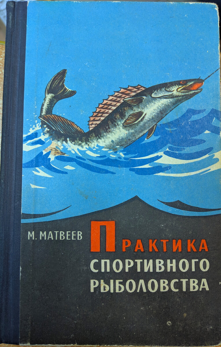 Взгляд из прошлого