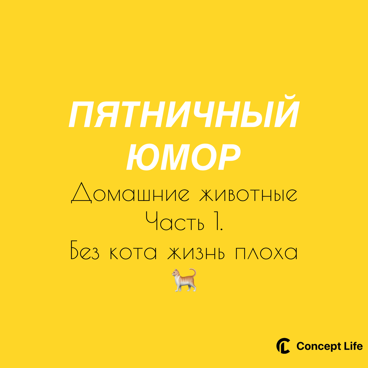Пятничный юмор