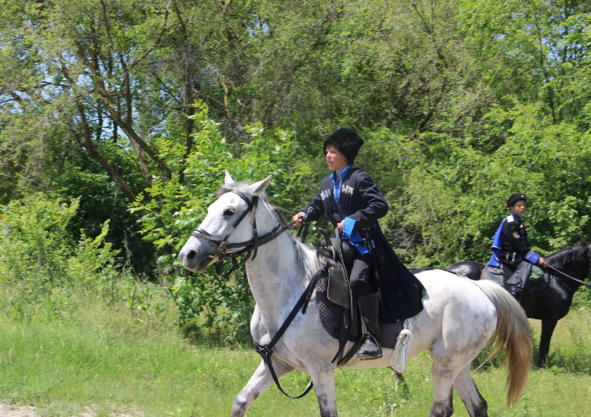 Разведчики докладывали, что персы стягивают силы