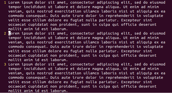 Тот же текст (без изменений), но выставлен флаг wrap. Одна физическая строка теперь выражается многими логическими, вся ширина текста в окне, но он уходит вниз.