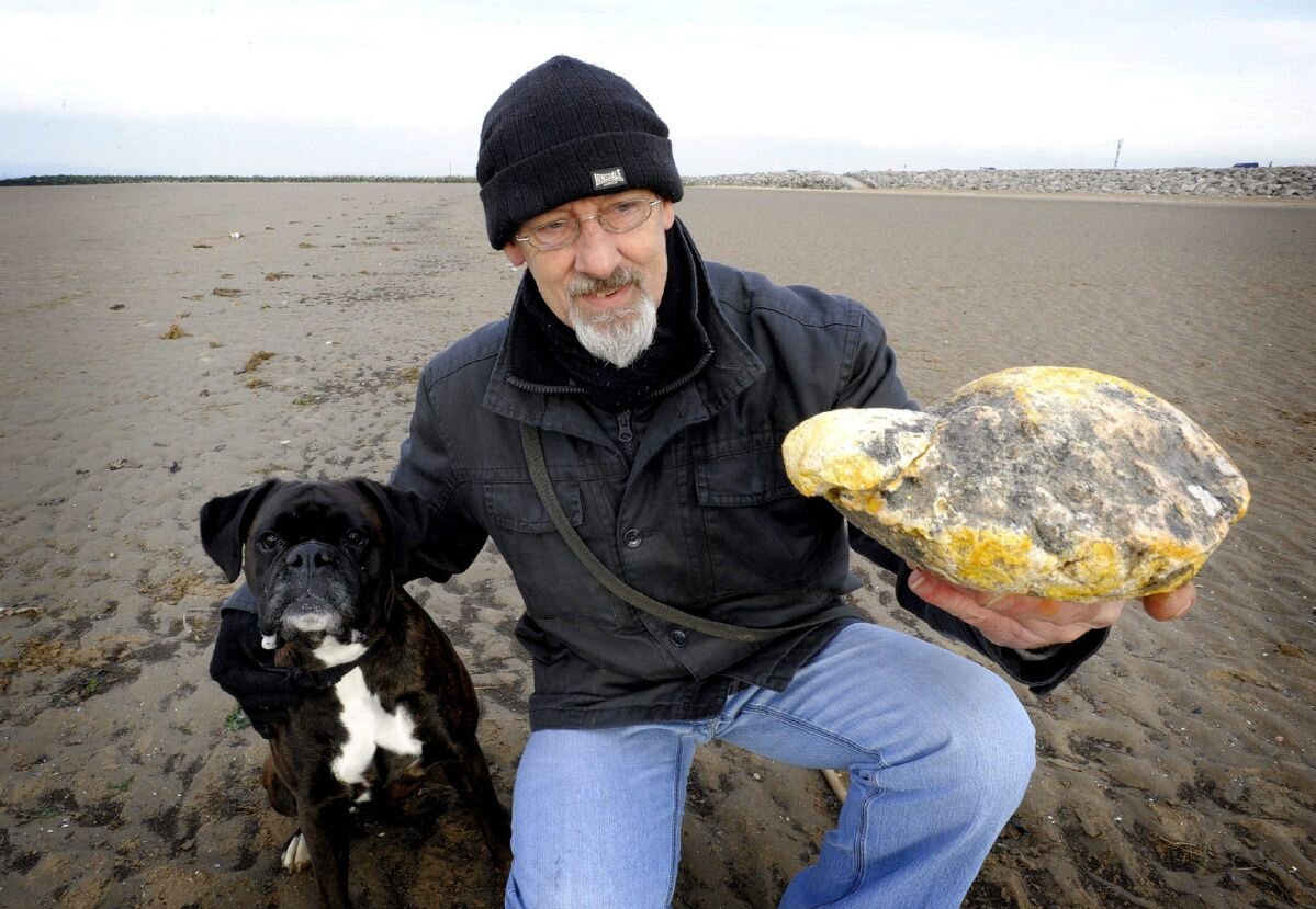                                                 Амбра, найденная на побережьях