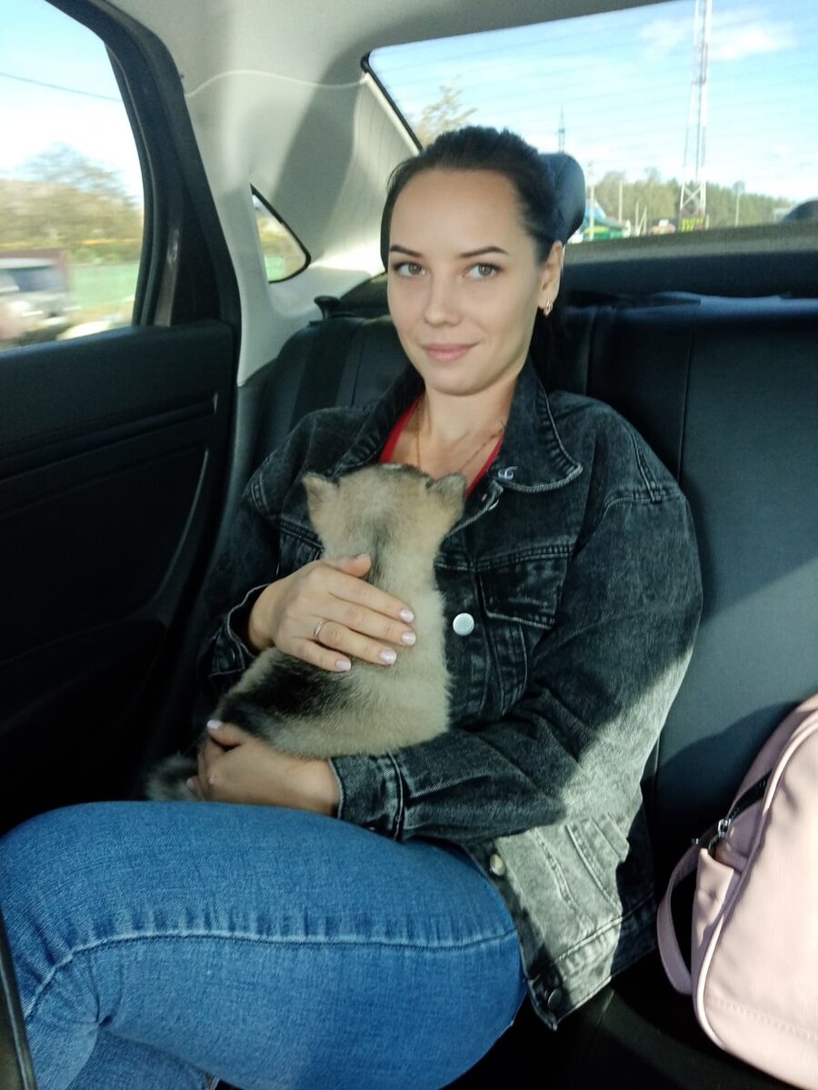 Везём Джесси домой