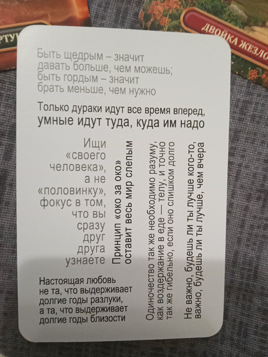 Только дураки идут все время вперёд, умные идут туда, куда им надо. Онлайн  расклад карты дня. | Надежда Мезенцева Таро ПРОГНОЗ. | Дзен