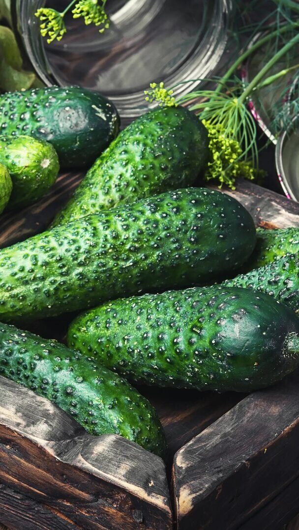 Фото взято из общедоступных источников