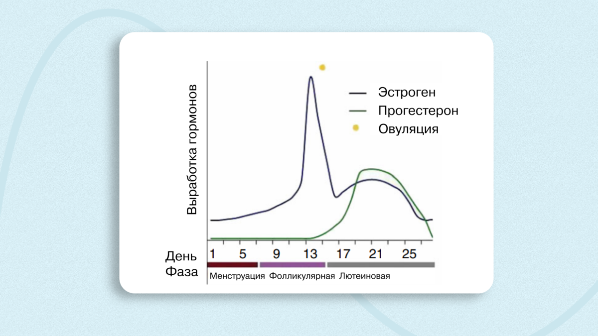 Нарушение менструального цикла: причины, симптомы и лечение