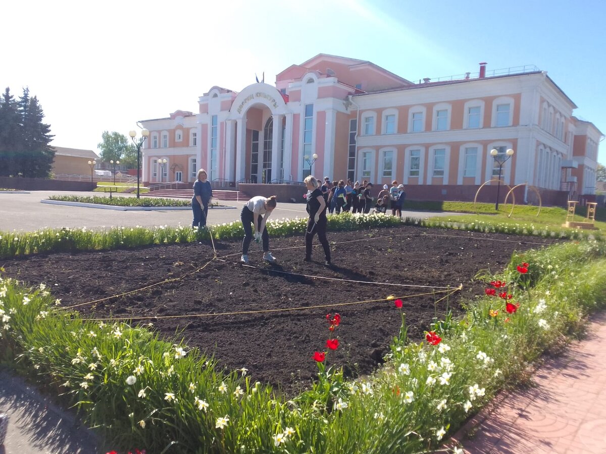 Высадка цветов на клумбу
