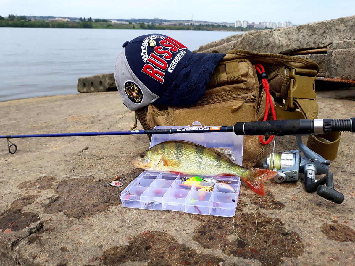 Часть 1 Streetfishing-уличная рыбалка! | Рыбалка c BESFISHNG34rus | Дзен