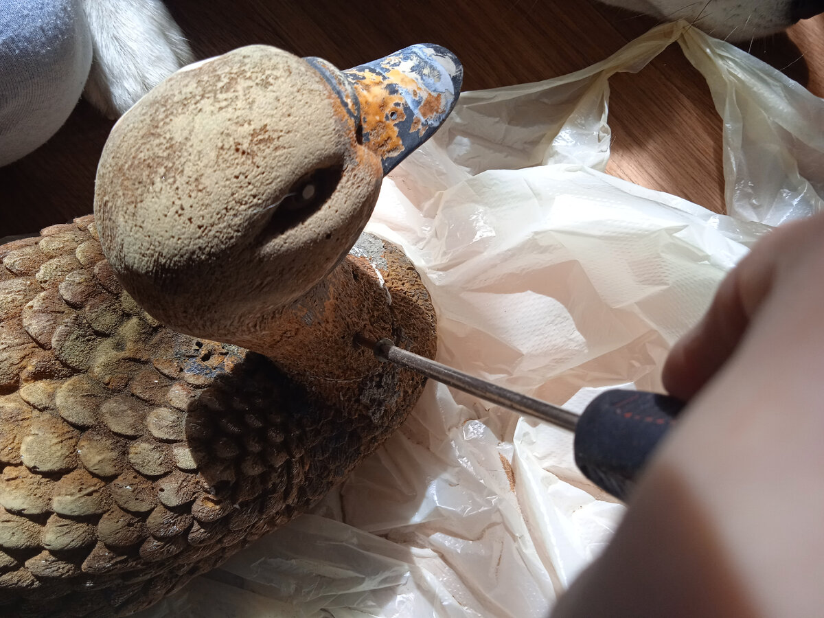 фото автора.