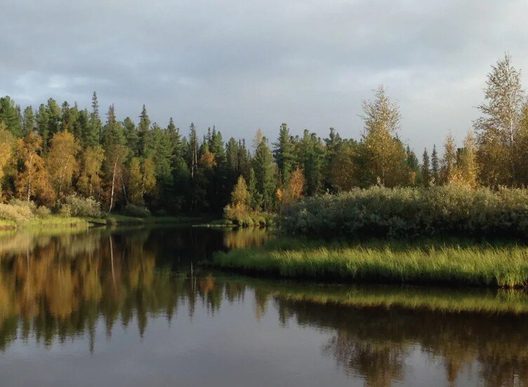 река Пикяпур фото с сайта: https://www.drive2.com/b/482978900394115154/