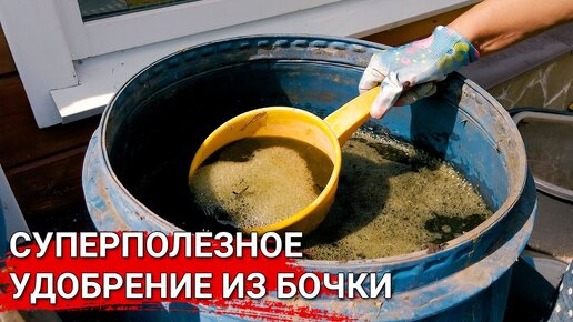 Суперполезное удобрение из бочки