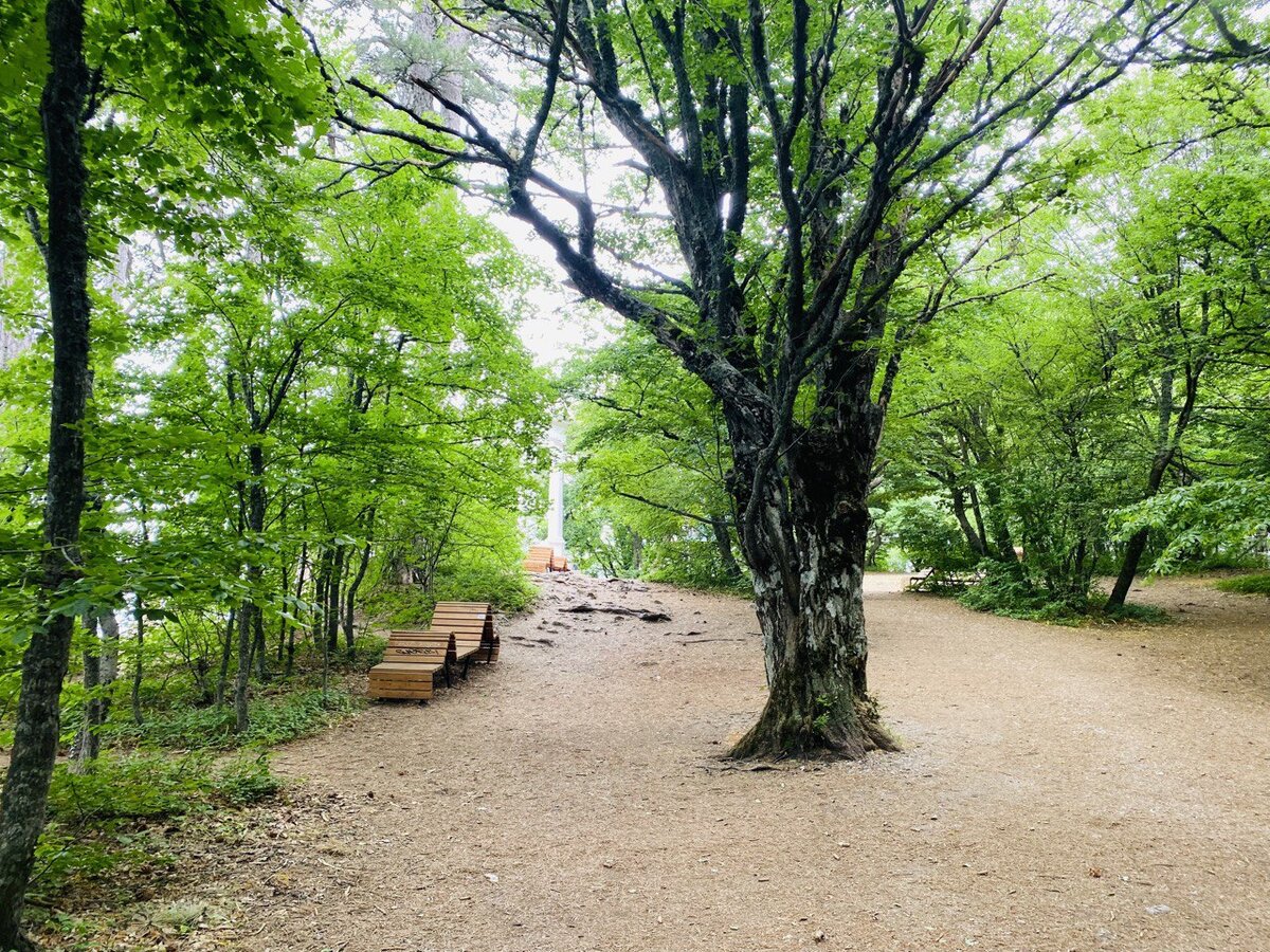 Возле Серебряной беседки
